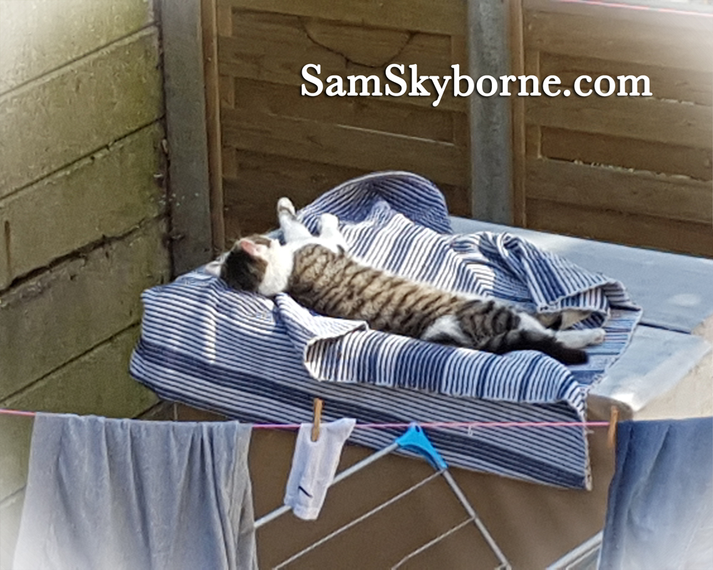 #LazyDays – Little Prince